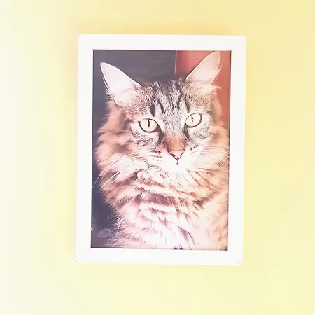 아파트 Pepe Complejo Olas 플라야 델 잉글스